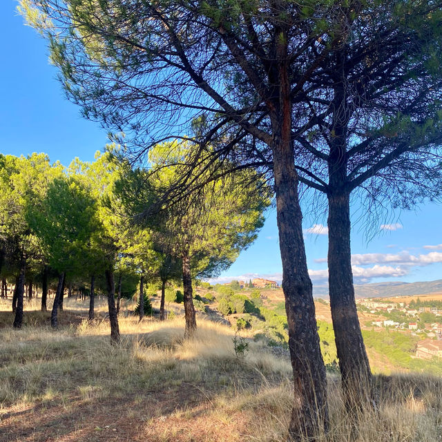Exploring the Forest Above Alameda del Parral in Segovia 🌲