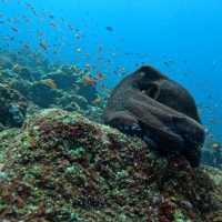 INDONESIA - more than just Bali