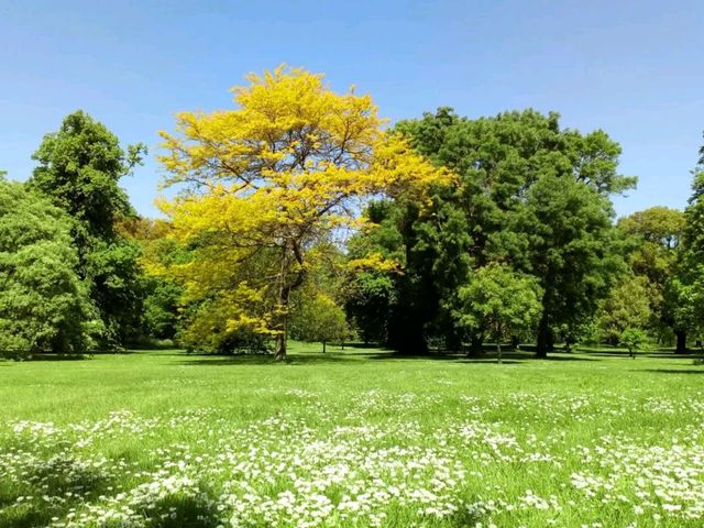 Kew Gardens - Itinerary ✨⭐✨⭐✨