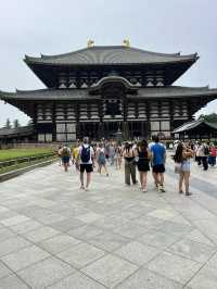 NARA, JAPAN: MY UNFORGETTABLE DAY AMONG DEERS AND TEMPLES 