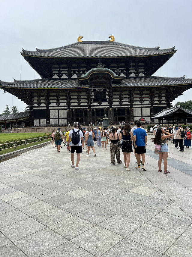 NARA, JAPAN: MY UNFORGETTABLE DAY AMONG DEERS AND TEMPLES 