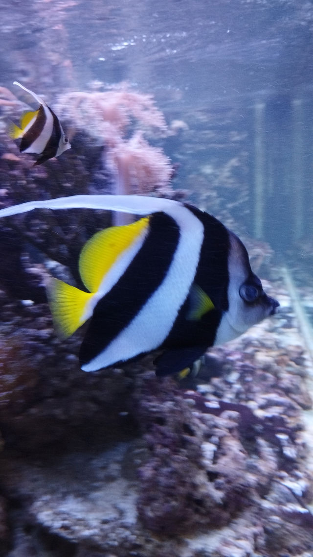 Tallinn Zoo - Estonia