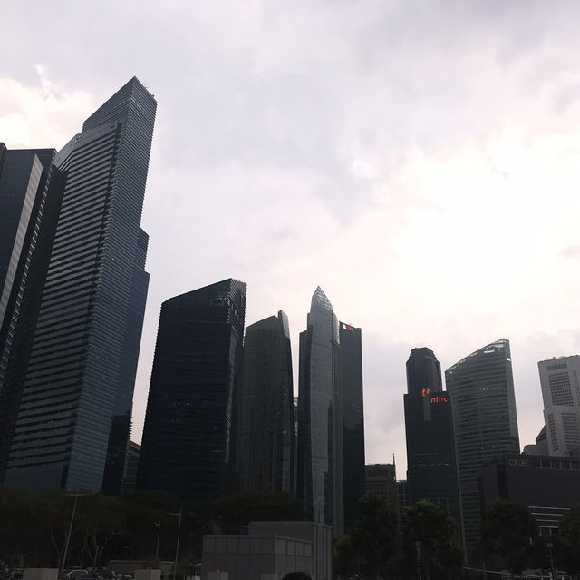 Singapore from the Top: The Beauty of Supertree Observatory