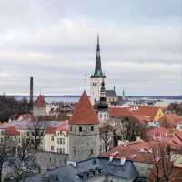 Can you do Tallinn in 36 hours? Absolutely!