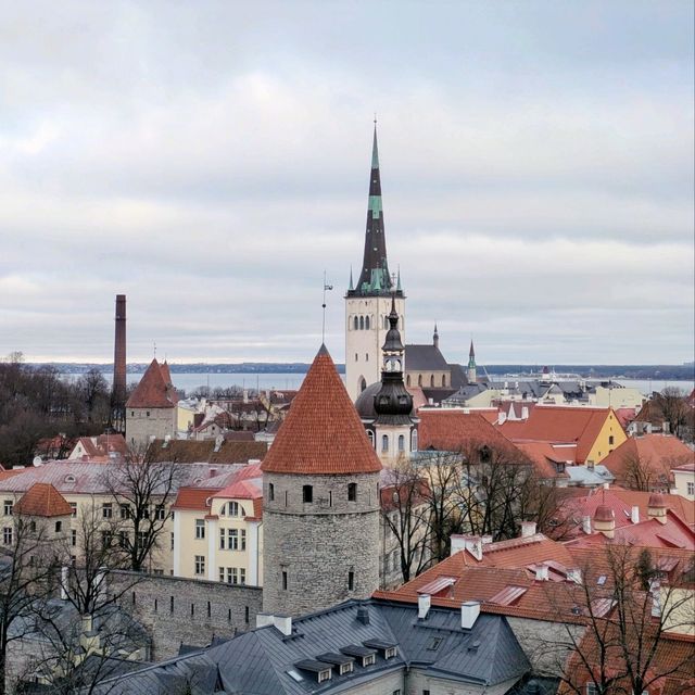 Can you do Tallinn in 36 hours? Absolutely!