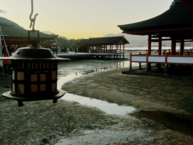 人生で一度は訪れるべき神秘の場所、広島・厳島神社🇯🇵✈️🌏 
