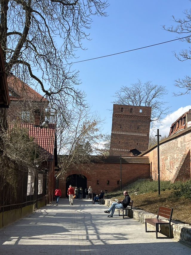 🇵🇱 波蘭托倫（Toruń）🔔