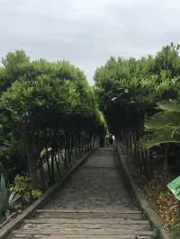 South Island Garden in Korea