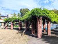 昭和沼公園