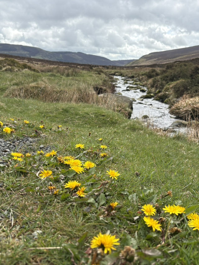 Tip of Ireland
