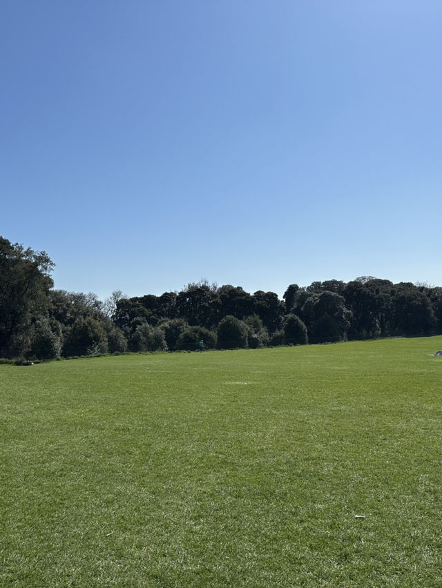 鳳凰公園遊記：漫步都柏林的綠色心臟