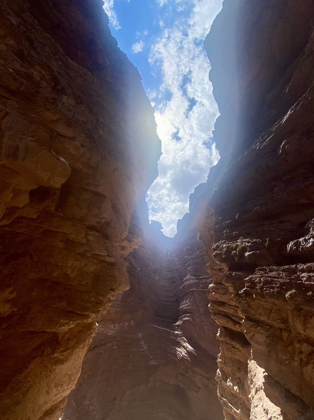 Culture, Glaciers & the End of the World