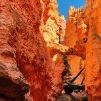 🥾🧡 Top Hikes in Bryce Canyon National Park