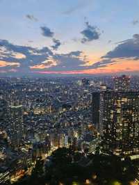 Tokyo From Above, For Free!