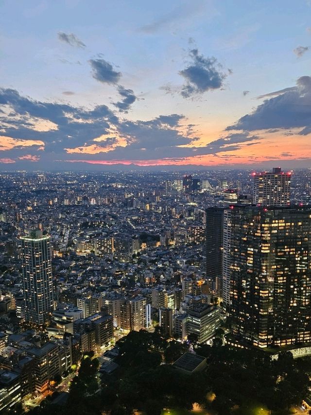 Tokyo From Above, For Free!