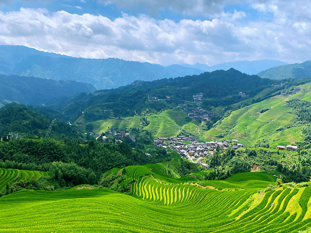 🌾 Stairway to Heaven: LongJi’s Golden Rice Terraces 🌄