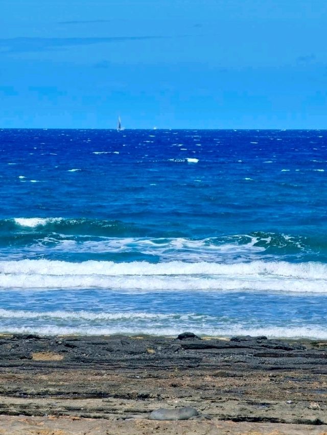 Playa de las Américas: Lively Vibes and Endless Sunshine 🌞🌴