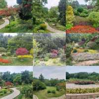 Beautiful parks, Zhongshan park, Botanical garden etc.