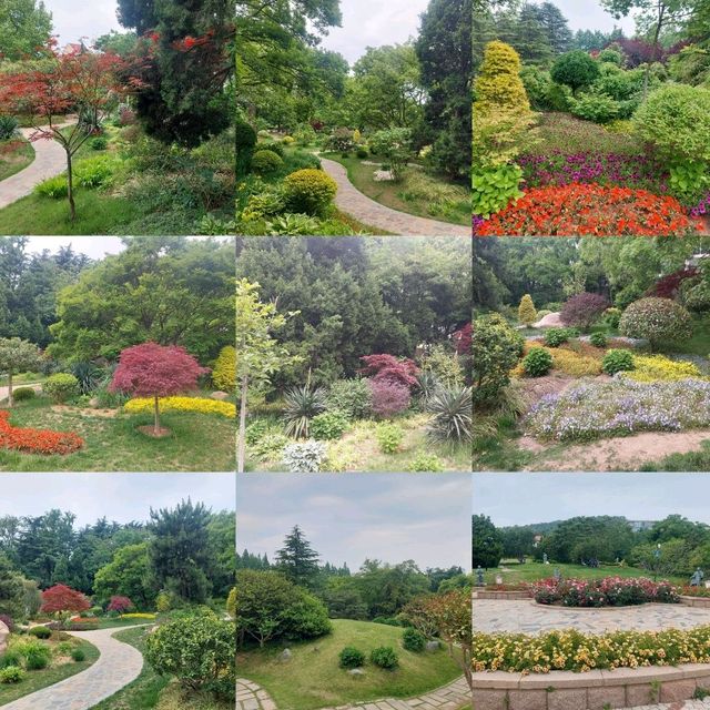 Beautiful parks, Zhongshan park, Botanical garden etc.