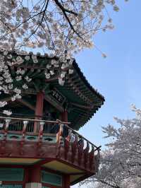 🧭 낯선 듯 익숙한 서울, 그 하루의 풍경 🏙️