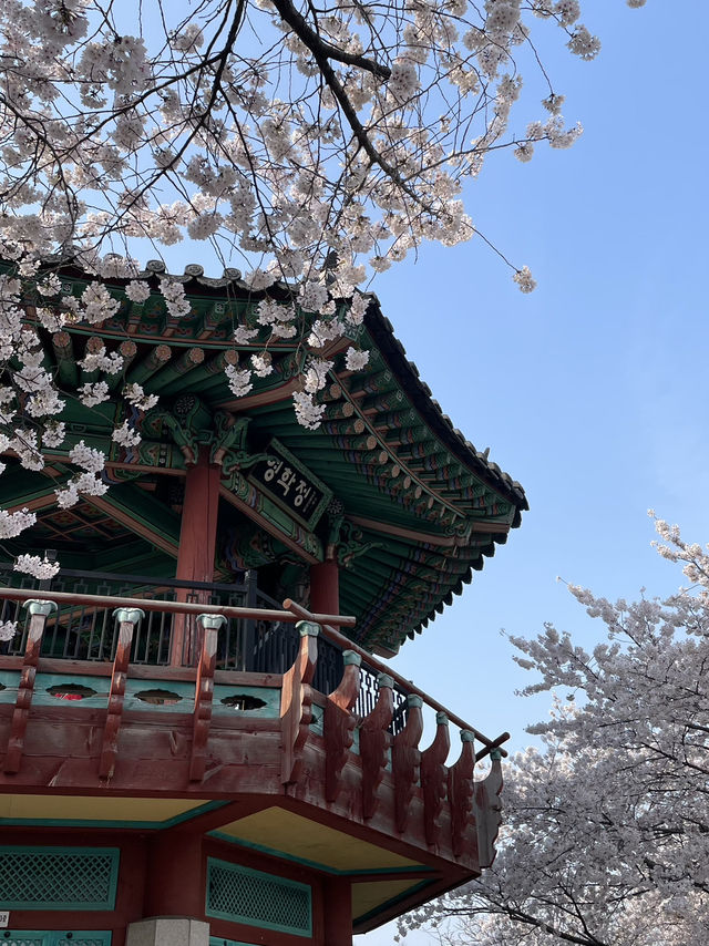🧭 낯선 듯 익숙한 서울, 그 하루의 풍경 🏙️