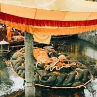 Discover the Mysterious Budhanilkantha Temple