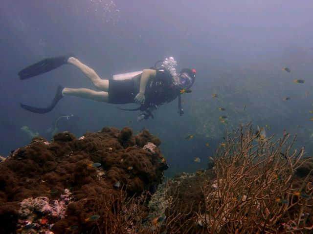 Diving into Ko Phi Phi