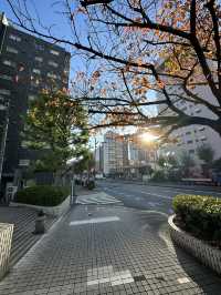 Exploring Tokyo & Kyoto means diving deep into centuries