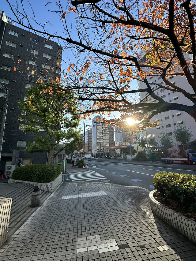 Exploring Tokyo & Kyoto means diving deep into centuries