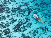 🐉 Komodo National Park – Dragons, Diving & Dramatic Islands
