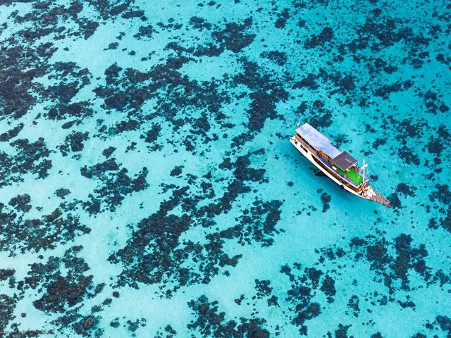 🐉 Komodo National Park – Dragons, Diving & Dramatic Islands