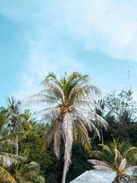 Overwater Bungalow in Bora Bora 🌺