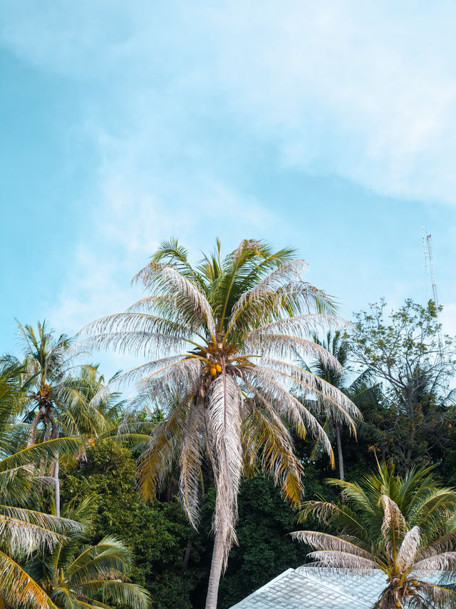 Overwater Bungalow in Bora Bora 🌺
