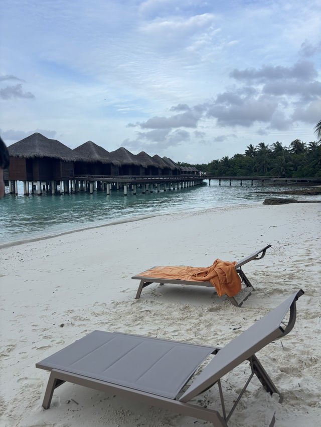 Maldives Dream🌴 Maldives Dream🌴