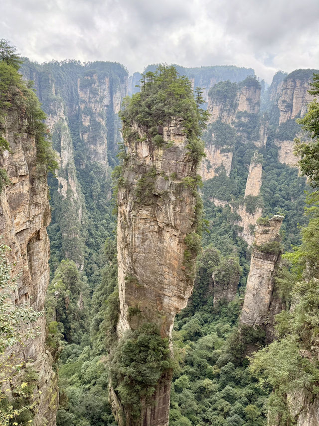 Avatar Peaks Dream🗻 Avatar Peaks Dream🗻