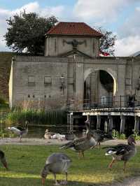 Fairy Tale Stroll🌿