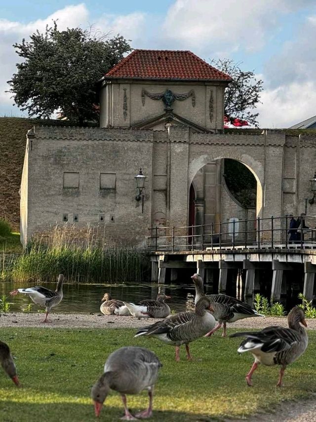 Fairy Tale Stroll🌿 Fairy Tale Stroll🌿
