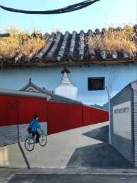 Гайд по Пекину: Аутентичные хутуны,Храм Белой Ступы и аптека