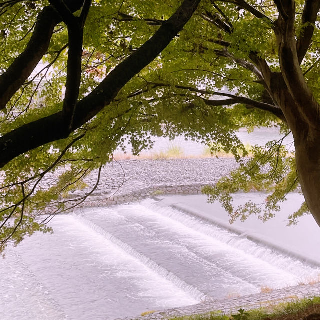 Nara: Deer, Temples & Timeless Japanese Charm 🇯🇵✨