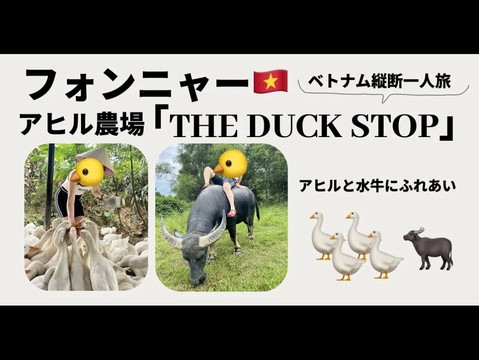 フォンニャー「THE DUCK STOP」でアヒルリーダー体験＆水牛ふれあい