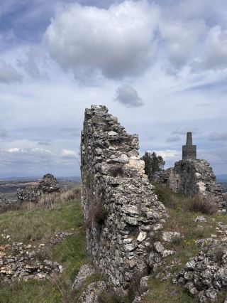 Wildflowers Among the Ruins 🌼