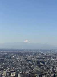 Solo Trip: 15 Winter Days in Japan - from Tokyo to Nagasaki 🇯🇵❄️
