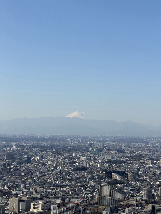 Solo Trip: 15 Winter Days in Japan - from Tokyo to Nagasaki 🇯🇵❄️