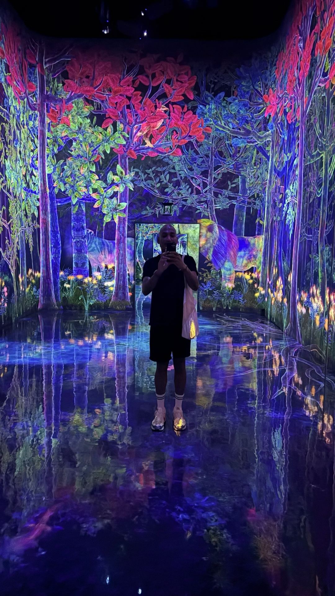 Immersed in Inspiration at TeamLab Planets TOKYO