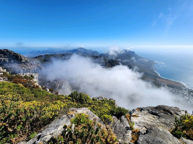 Table Mountain - A World Wonder