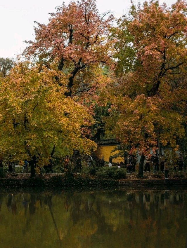 Autumn colours at Tianping Mountain 🧡