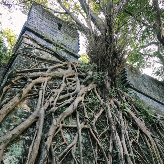 行越秀山品味嶺南風情