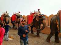 India Jaipur Amber Fort | Shocking!!!