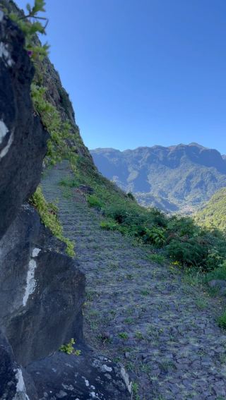 Discover Untouched Beauty: Caminho da Entrosa Walk in Madeira, Portugal 🌿🌊