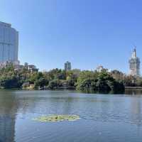  A stunning park in the heart of Shenzhen